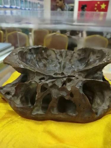 Череп инопланетянина диаметром 16 см: эксперт по НЛО показал настоящую голову пришельца